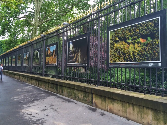 The art installation along the fence at Jardin Du Luxembourg; photos 'then and now' remembering WWII. Along my walk to school.