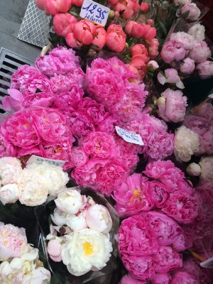 Some beautiful peonies that I wanted to buy...