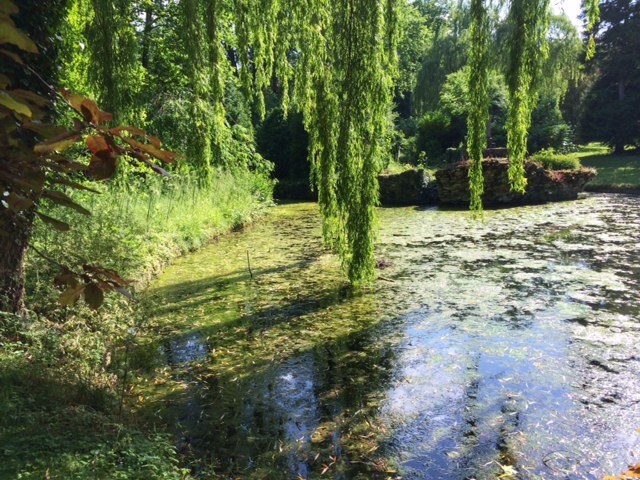 Oh yeah this is for real.... Makes me wonder how amazing Giverny will be!