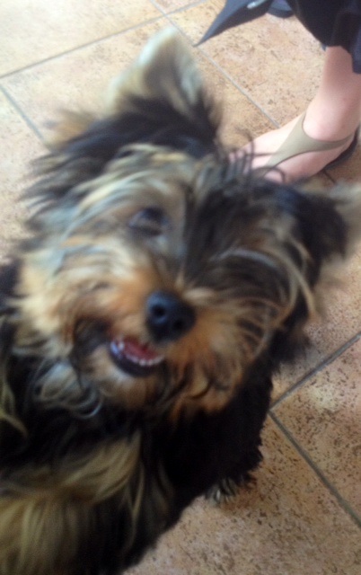 How can you resist this face?