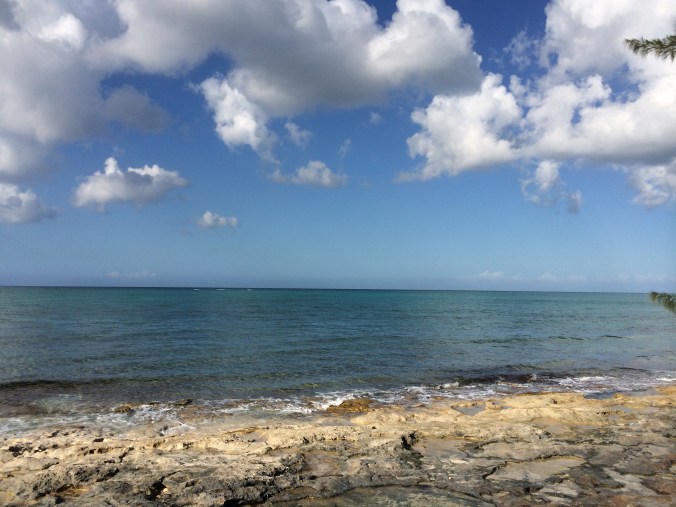 This was right across the road!