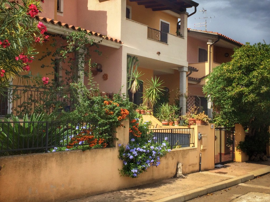 Processed with Snapseed.