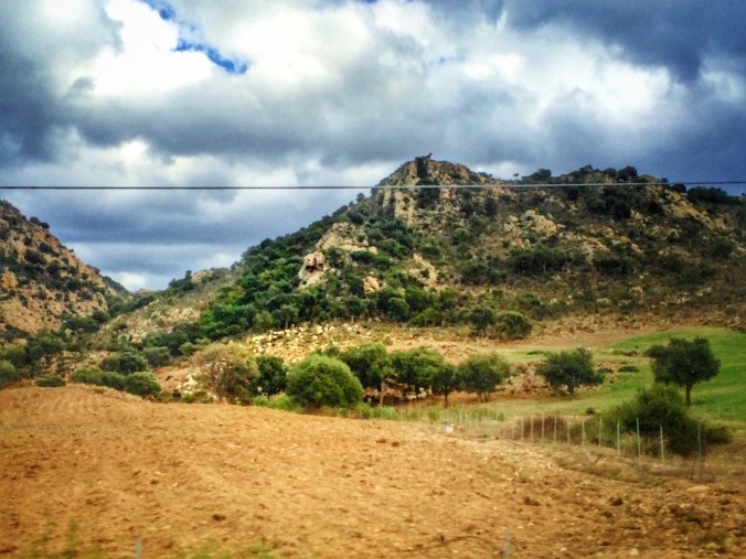 Processed with Snapseed.