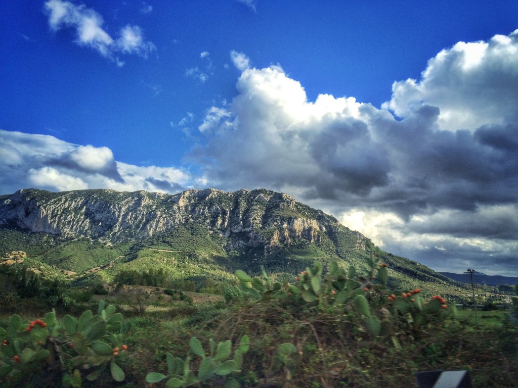 Processed with Snapseed.