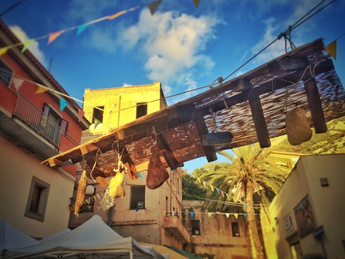 Processed with Snapseed.