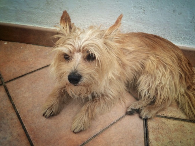 Processed with Snapseed.