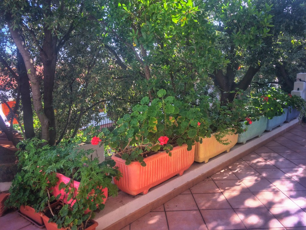 Processed with Snapseed.