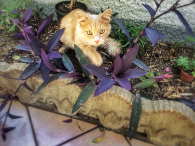 Processed with Snapseed.