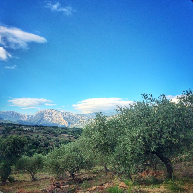 Processed with Snapseed.