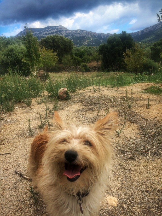 Processed with Snapseed.