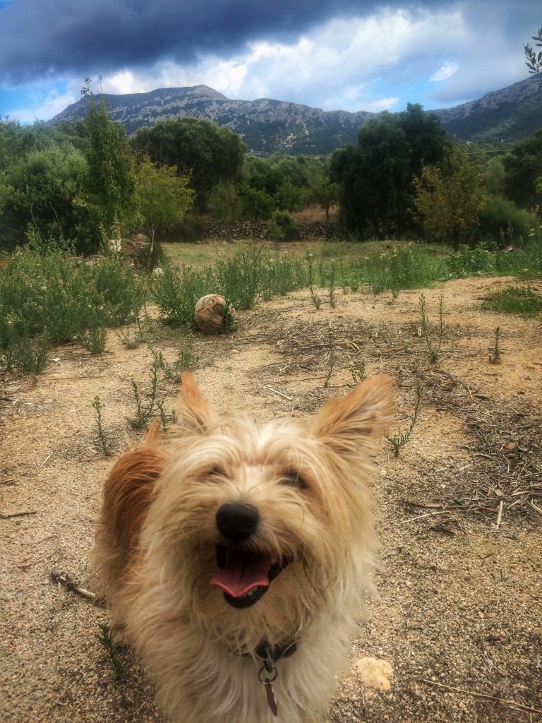 Processed with Snapseed.