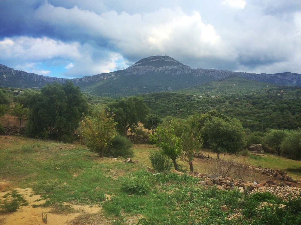 Processed with Snapseed.