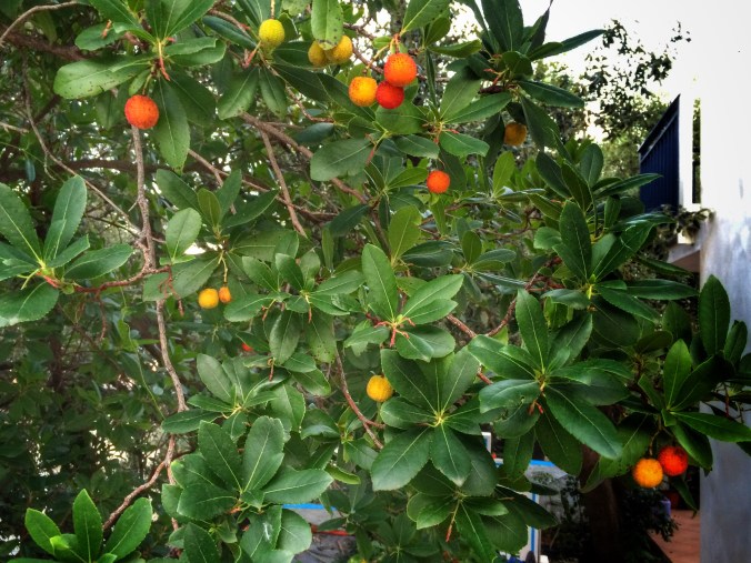 Processed with Snapseed.