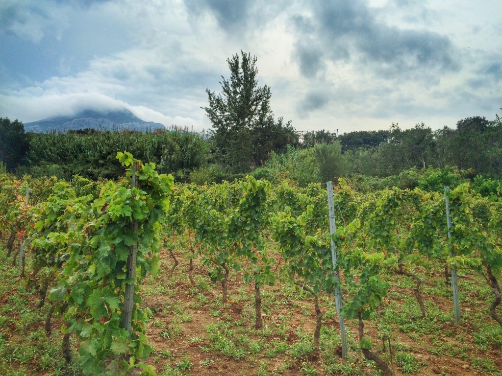 Processed with Snapseed.