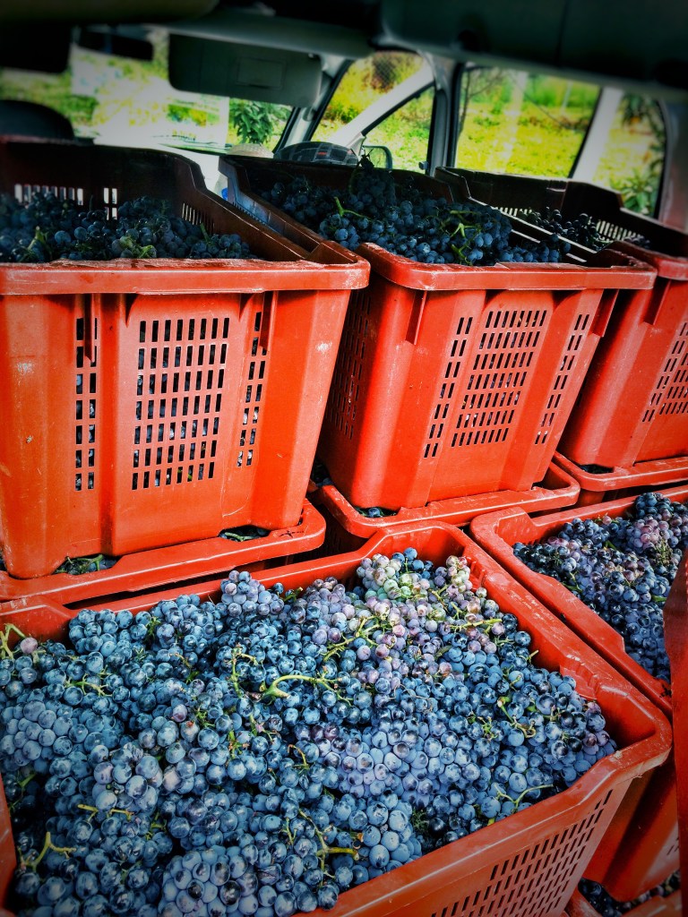 Processed with Snapseed.