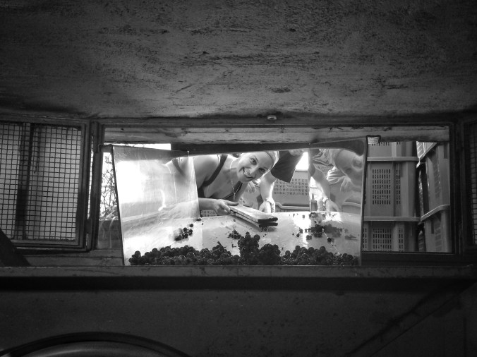 Processed with Snapseed.