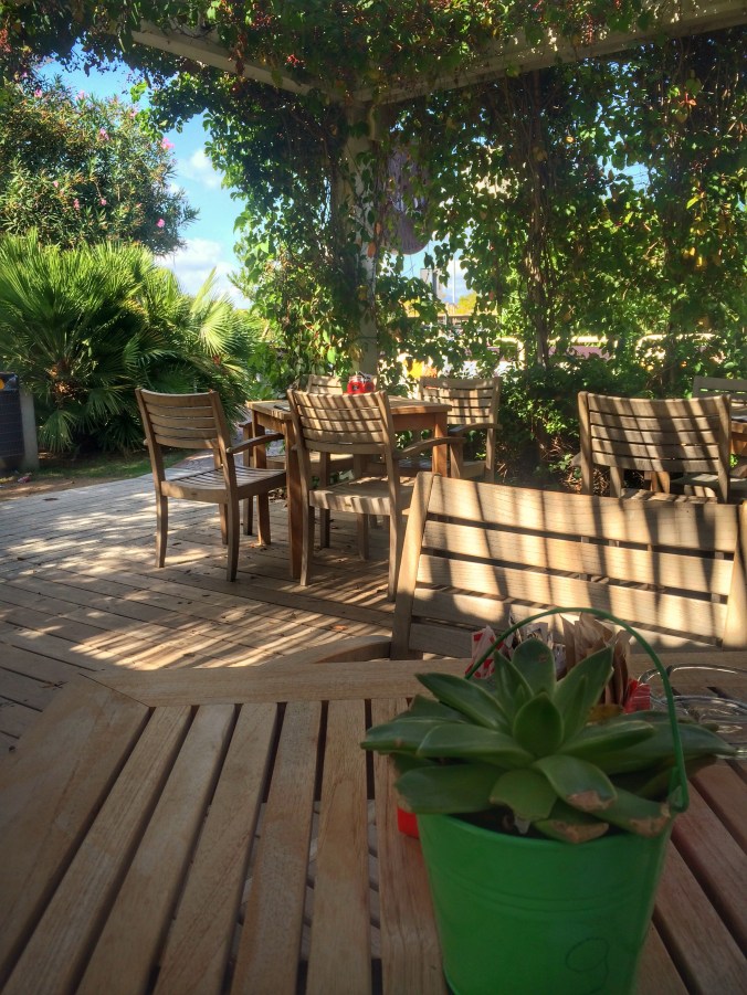 Processed with Snapseed.